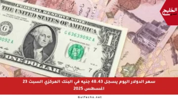 سعر الدولار اليوم يسجل 48.43 جنيه في البنك المركزي السبت 23 أغسطس 2025